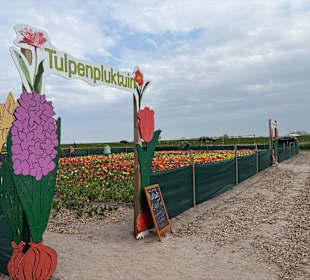 Floratuin Julianadorp