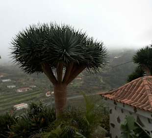 Остров Ла Гомера