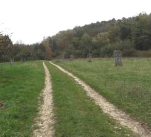 Naturschutzgebiet Listhof