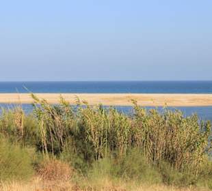 Blick in das Naturschutzgebiet