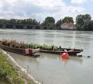 An der Innpromenade in Schärding