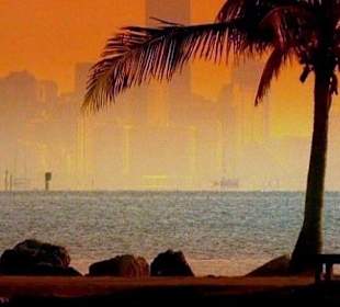 Rundflug über Miami