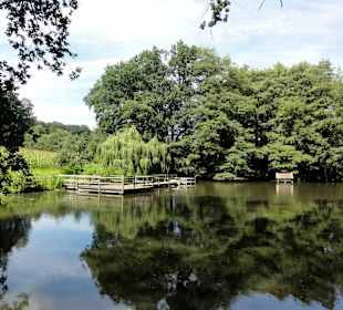 Impressionen vom Schwanenteich
