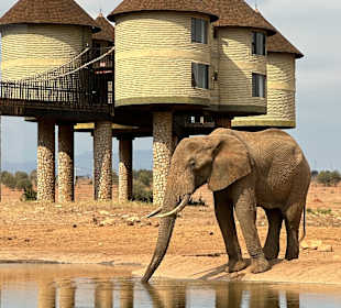 Salt Lick Safari Lodge