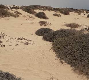 Strände Corralejo