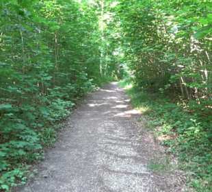 Waldlehrpfad St. Johann