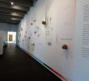 In der Geologie-Abteilung des Museums Lüneburg
