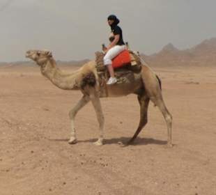 Quadsafari Kamelritt