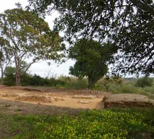 Römische Ausgrabung im Park Natural Ria Formosa