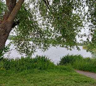 Silbersee