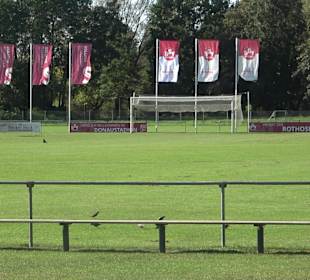 Donaustadion