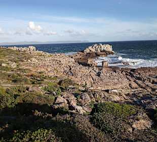 Wandern Hermanus