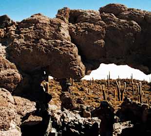 Cactus' island in Salar de Uyuni-Bolivia