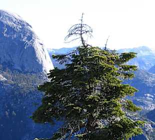 Yosemite Nationalpark