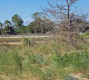 Gewaltige Flächen Natur