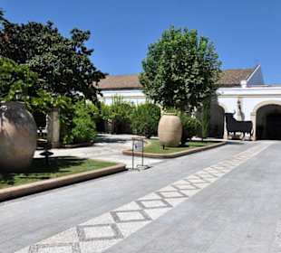 Patio in der Bodega de Mora