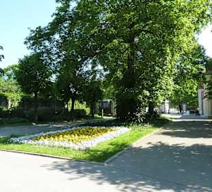 Tierpark Berlin Friedrichsfelde