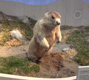 Nationalparkzentrum Haus der Berge