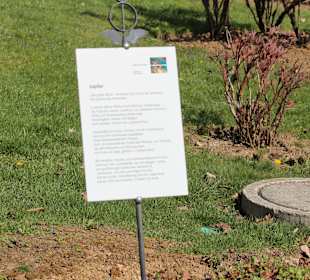 Planetengarten - Jupiter