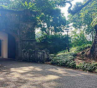 Fort Canning Park