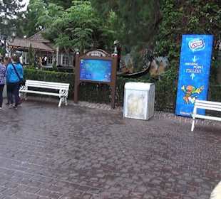 Themenbereich Italien