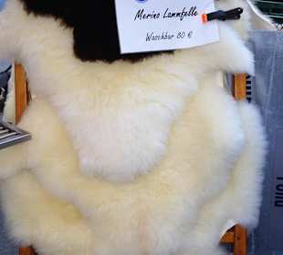 Rundgang über die Salzburger Schranne