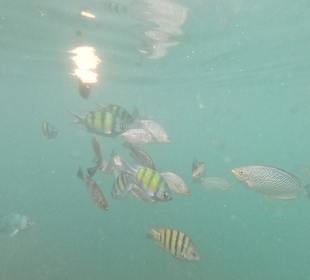 Ausflug mit Longtailboot