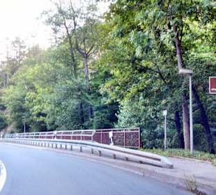 Kreisstraße an der Selke über Brücken