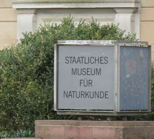 Beim Staatlichen Museum für Naturkunde Karlsruhe