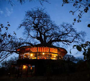 Tree house at Tarangire