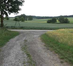 Schutzgebiet Spitzberg, Pfaffenberg