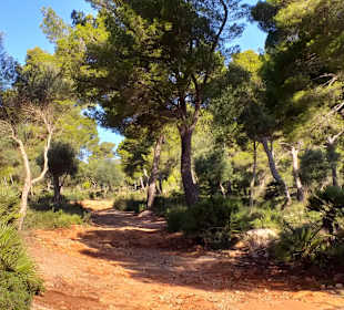 Wandern Cala Ratjada