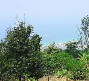 Aussicht von der Straße aus