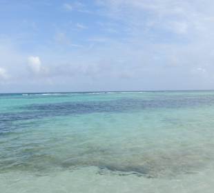Isla Saona