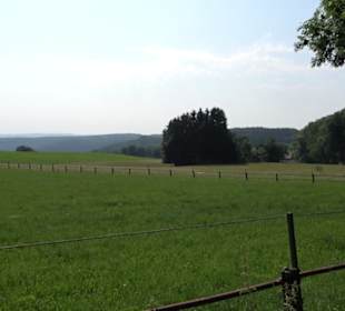 Waldlehrpfad St. Johann