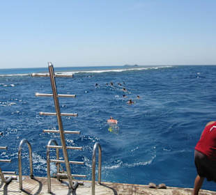 Auf gehts zum Schnorcheln
