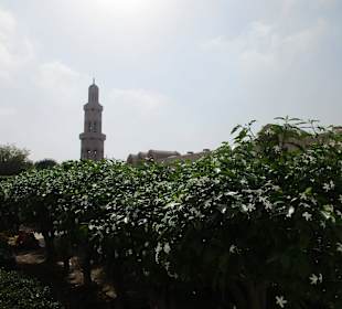 Sultan Qaboos Moschee 