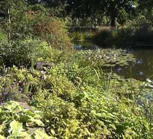 Staudengarten - Berggarten