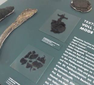 Archäologisches Landesmuseum