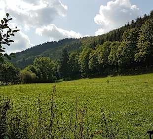 Wandern Schmallenberg
