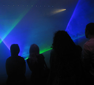 Besucher geniesen einer der 11 Atraktionen