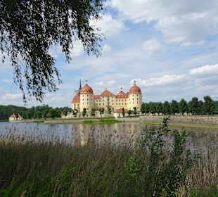 Schloss Moritzburg