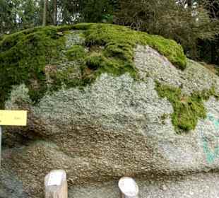 Weg zum Einsiedler-/Schalenstein