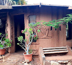 Botanischer Garten Viveiro