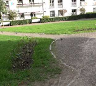 Brunnen im Hofgarten