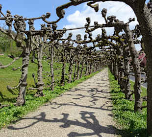 Unterhalb der Anlage