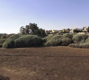 Stadtrundgang El Gouna