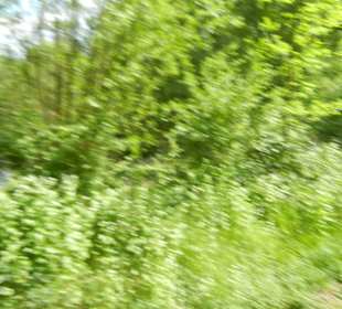 Naturschutzgebiet Boberger Niederung
