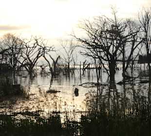 Abendidylle