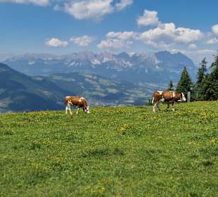 Ausblick auf dem Hahnenkamm